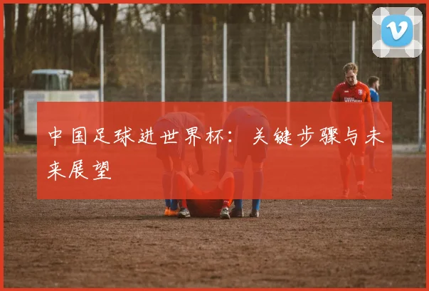 中国足球进世界杯：关键步骤与未来展望