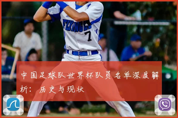 中国足球队世界杯队员名单深度解析：历史与现状