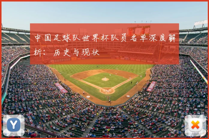 中国足球队世界杯队员名单深度解析：历史与现状