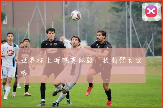 世界杯上海观赛体验，提前预订攻略
