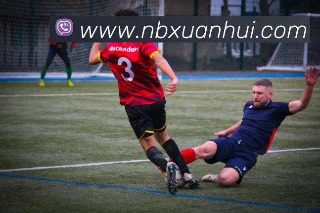 kaiyun体育最新登录地址平台生态图